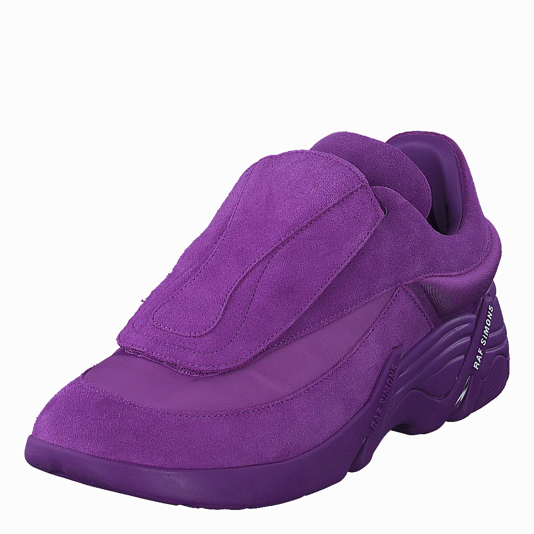 Antei Purple