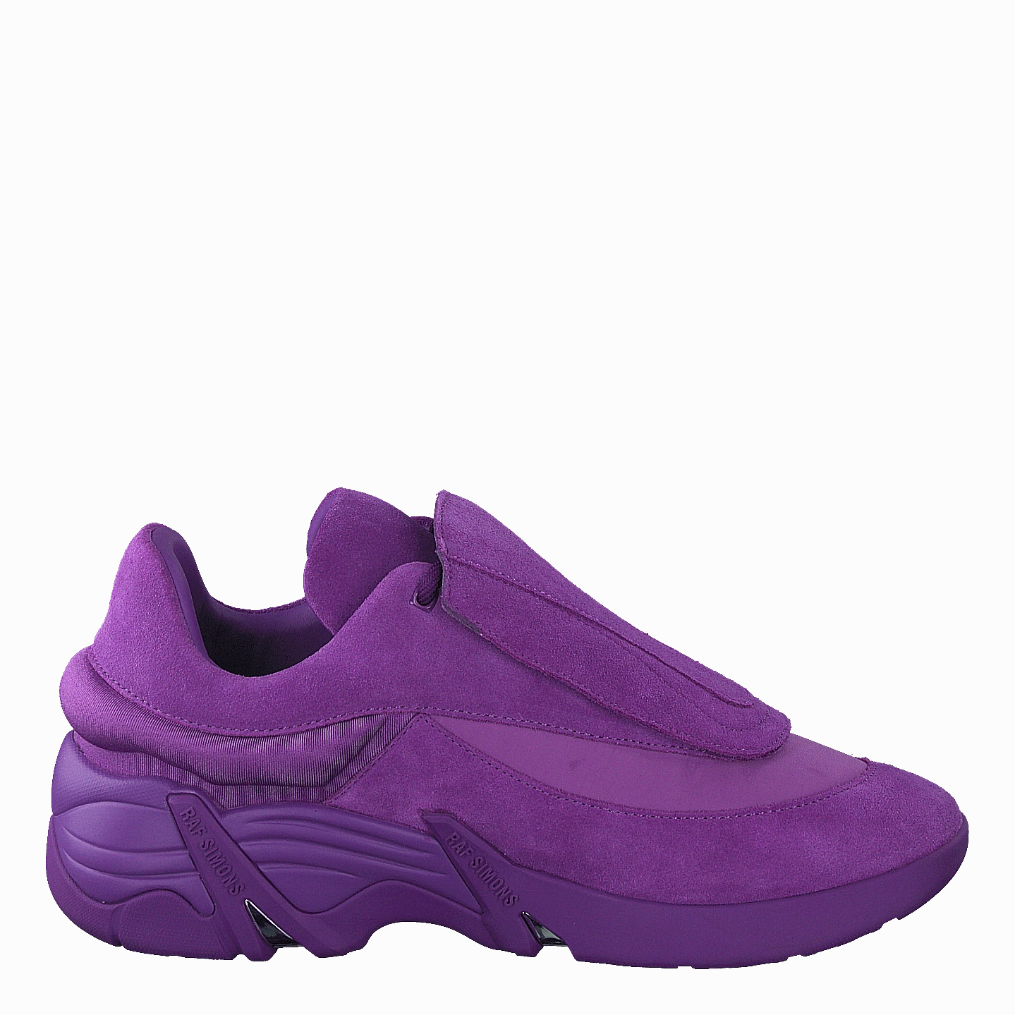 Antei Purple