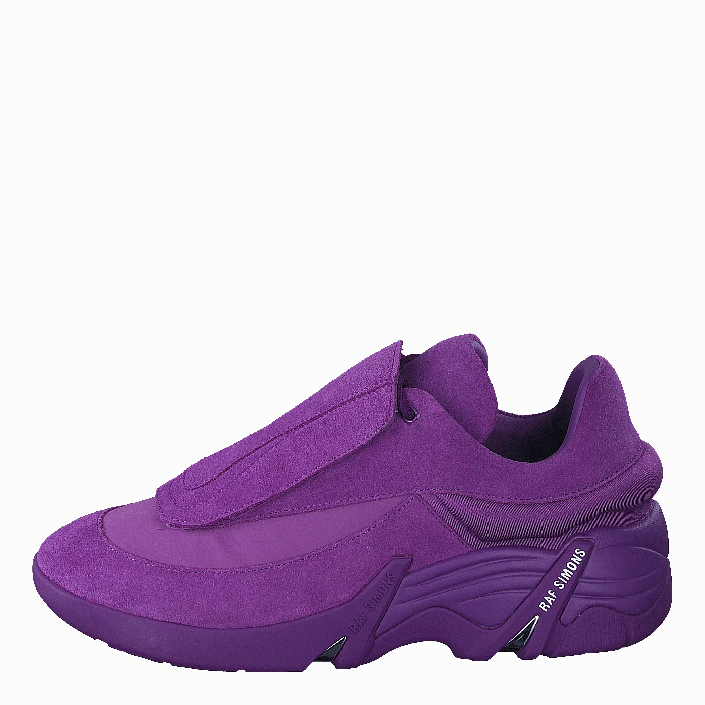 Antei Purple
