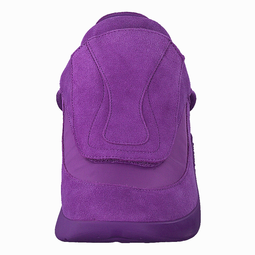 Antei Purple