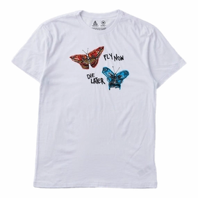 Bb Fly Now S/s Tlrt White