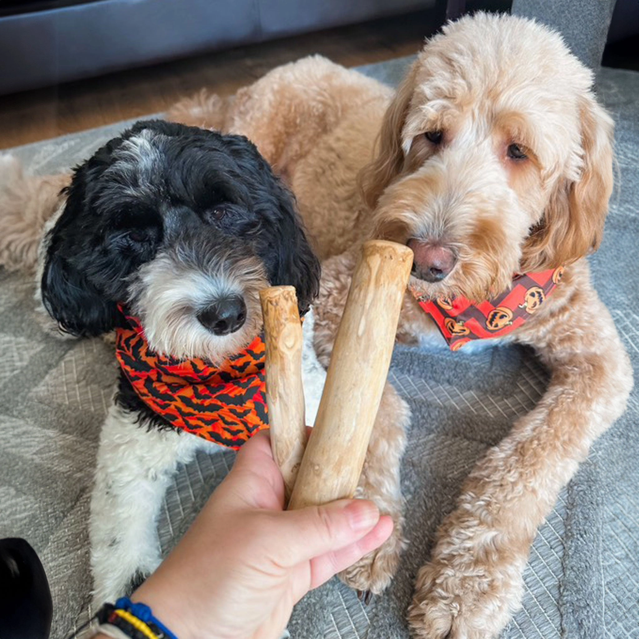Durkha Pet Products Coffee Wood Dog Chew