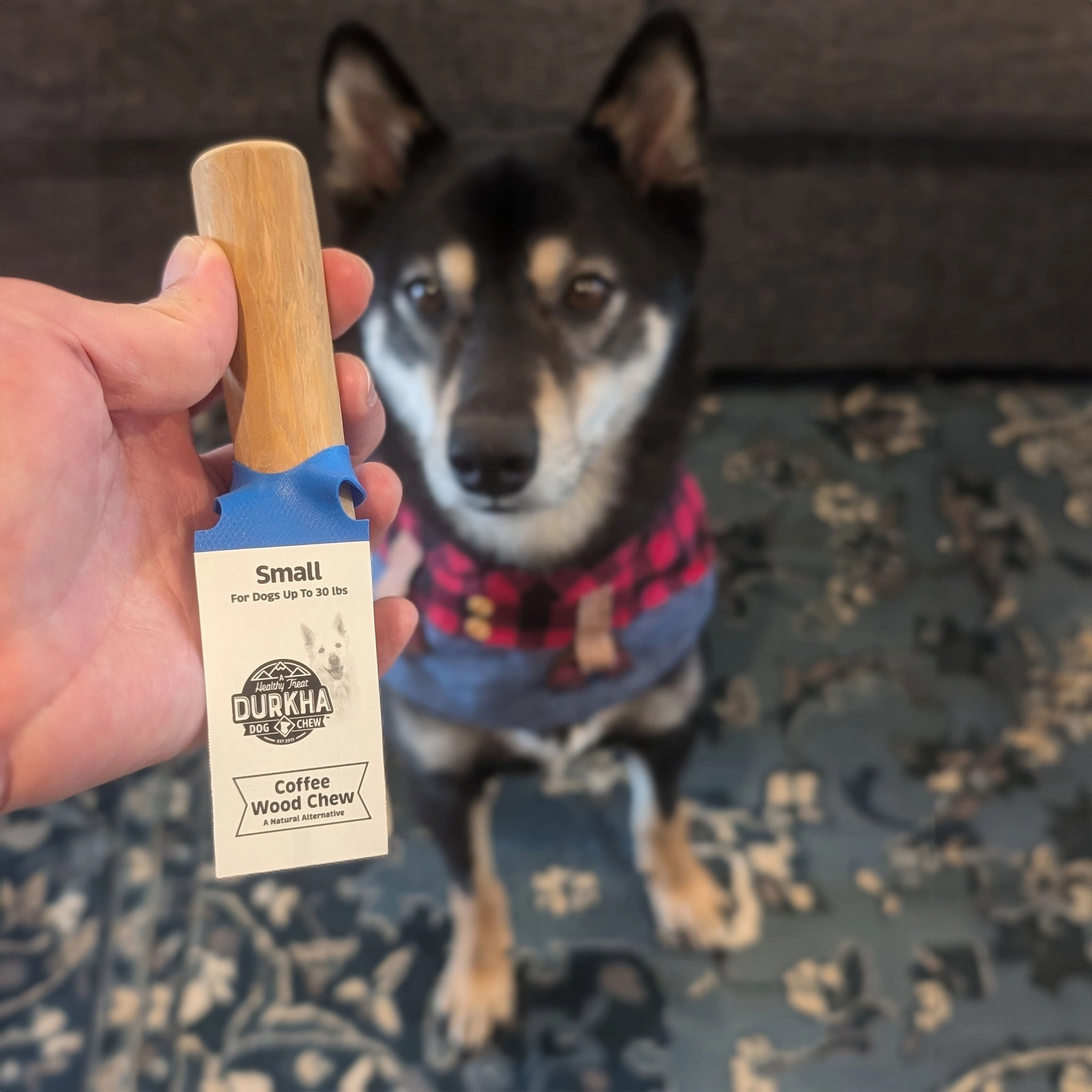Durkha Pet Products Coffee Wood Dog Chew