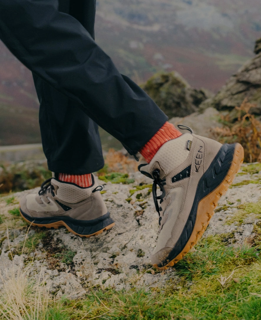 Men's Hightrail Waterproof Hiking Boot  |  Forest Night/Gold Flame