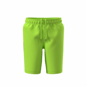 Under Armour Woven Wordmark Short Junior