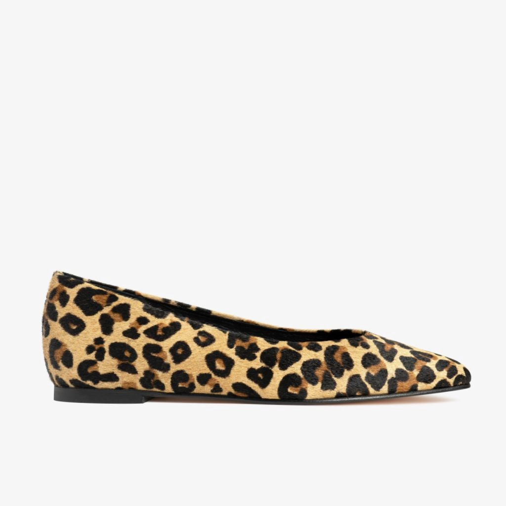 Viva | Leopard